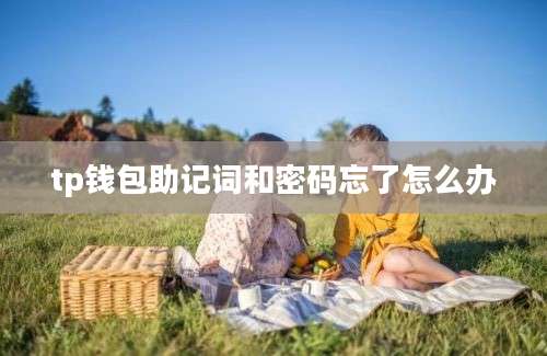 tp钱包助记词和密码忘了怎么办
