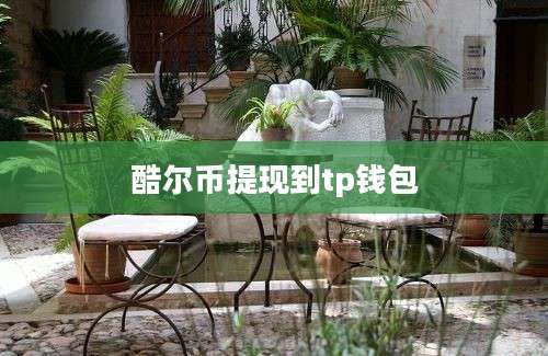 酷尔币提现到tp钱包