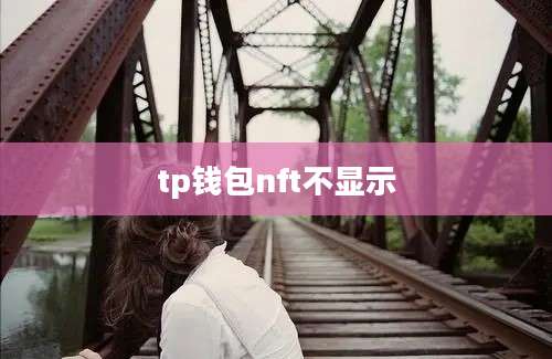 tp钱包nft不显示