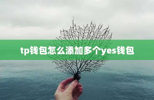 tp钱包怎么添加多个yes钱包