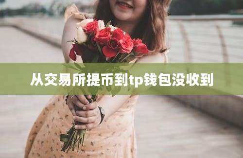 从交易所提币到tp钱包没收到