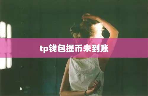 tp钱包提币未到账