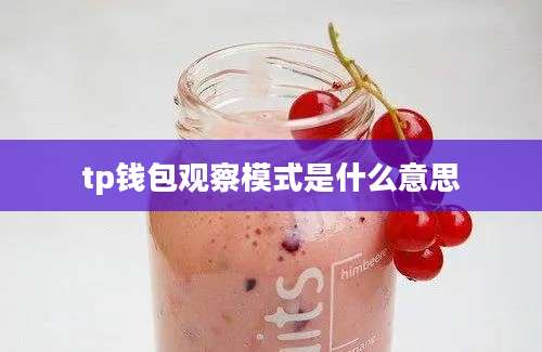 tp钱包观察模式是什么意思