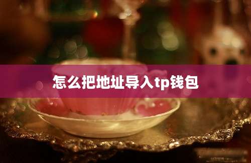 怎么把地址导入tp钱包