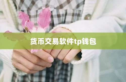 货币交易软件tp钱包