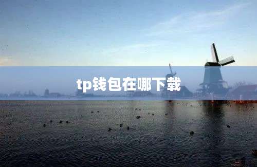 tp钱包在哪下载