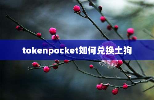 tokenpocket如何兑换土狗