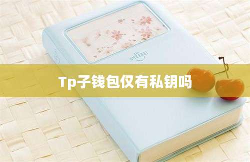Tp子钱包仅有私钥吗