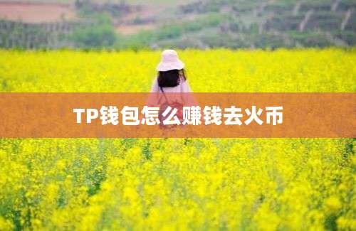 TP钱包怎么赚钱去火币
