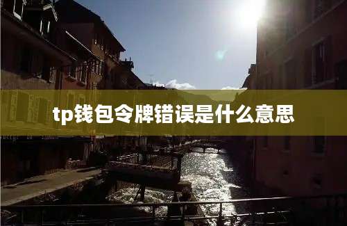tp钱包令牌错误是什么意思