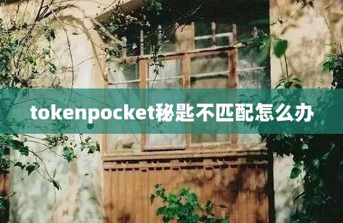 tokenpocket秘匙不匹配怎么办