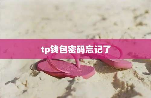 tp钱包密码忘记了