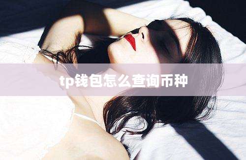 tp钱包怎么查询币种