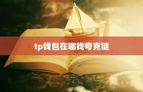 tp钱包在哪找夸克链