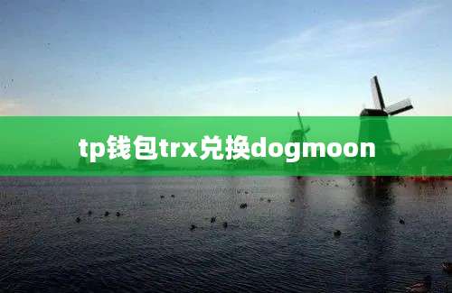 tp钱包trx兑换dogmoon