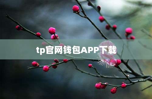 tp官网钱包APP下载