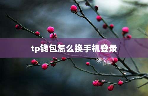 tp钱包怎么换手机登录