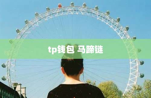 tp钱包 马蹄链
