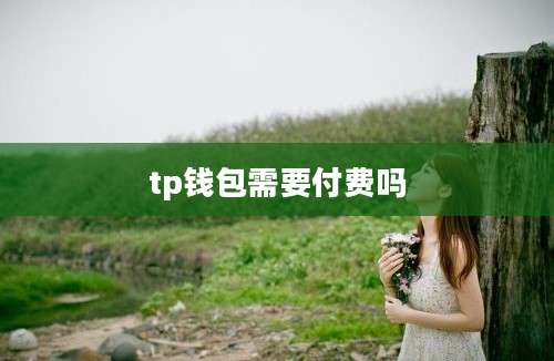 tp钱包需要付费吗