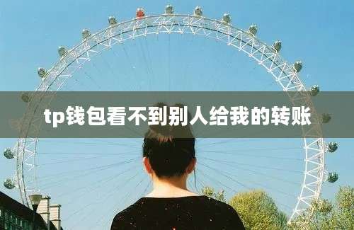tp钱包看不到别人给我的转账