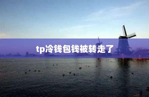 tp冷钱包钱被转走了