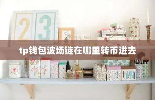 tp钱包波场链在哪里转币进去