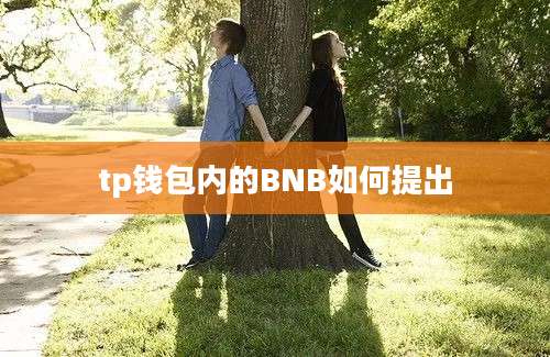 tp钱包内的BNB如何提出