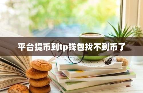 平台提币到tp钱包找不到币了