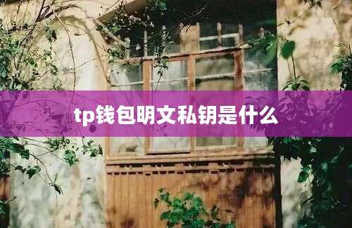tp钱包明文私钥是什么