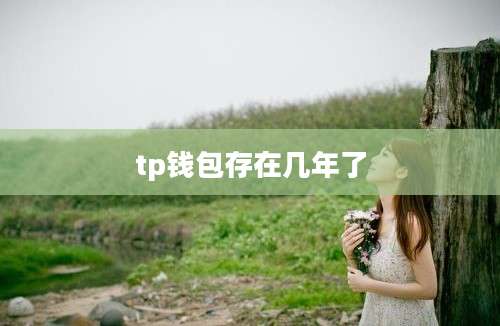 tp钱包存在几年了