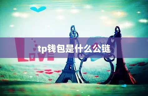 tp钱包是什么公链