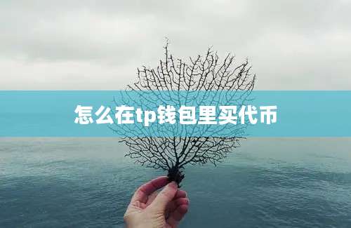 怎么在tp钱包里买代币