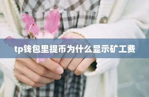 tp钱包里提币为什么显示矿工费