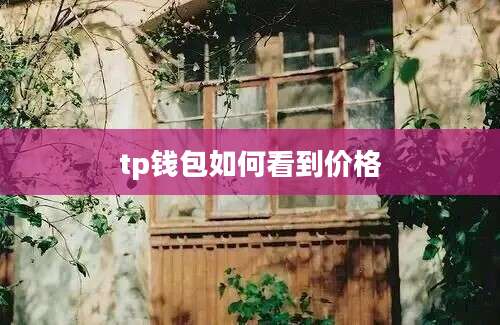 tp钱包如何看到价格