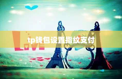 tp钱包设置指纹支付