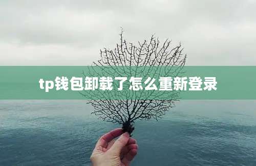 tp钱包卸载了怎么重新登录