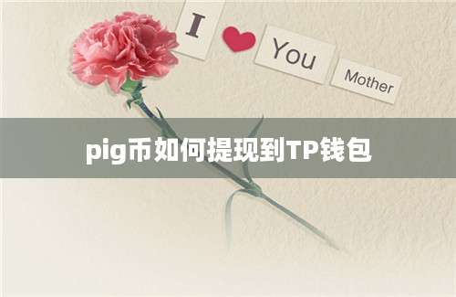 pig币如何提现到TP钱包