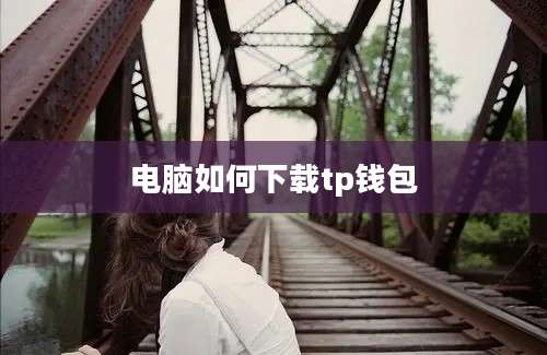 电脑如何下载tp钱包