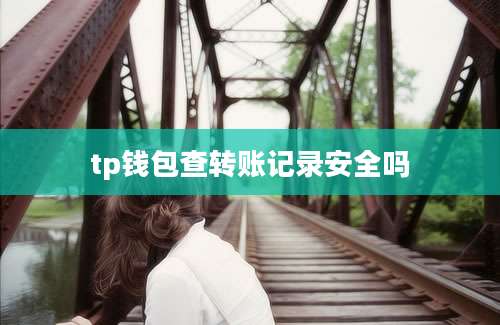 tp钱包查转账记录安全吗