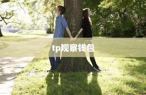 tp观察钱包