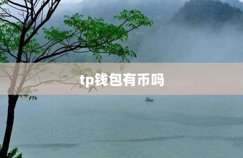 tp钱包有币吗