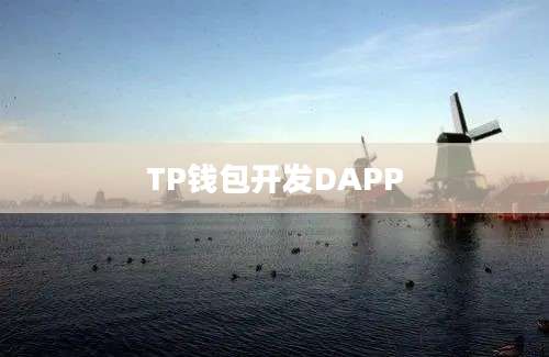 TP钱包开发DAPP