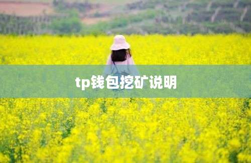 tp钱包挖矿说明