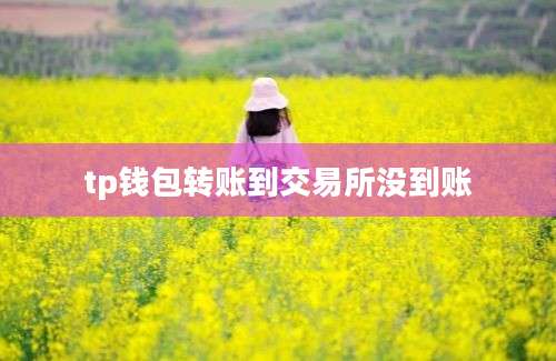 tp钱包转账到交易所没到账