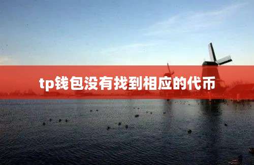 tp钱包没有找到相应的代币