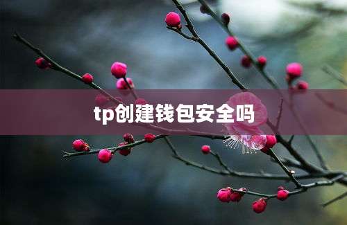 tp创建钱包安全吗
