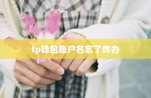 tp钱包账户名忘了咋办