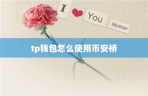 tp钱包怎么使用币安桥