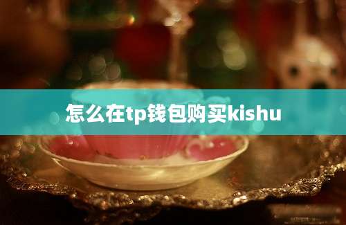 怎么在tp钱包购买kishu