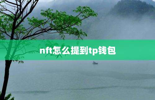 nft怎么提到tp钱包